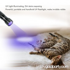 OxyLED LED UV Flashlight Black Light, 12 Ultraviolet LED UV Light, Blacklight Detector Flashlight for Pet Urine Dog Stain and Bed Bug (AAA Batteries Inclued)